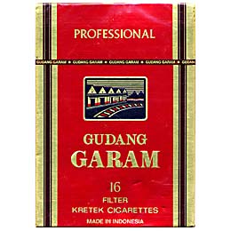 Gudang Garam Professional