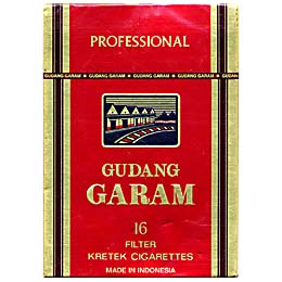 Gudang Garam Professional